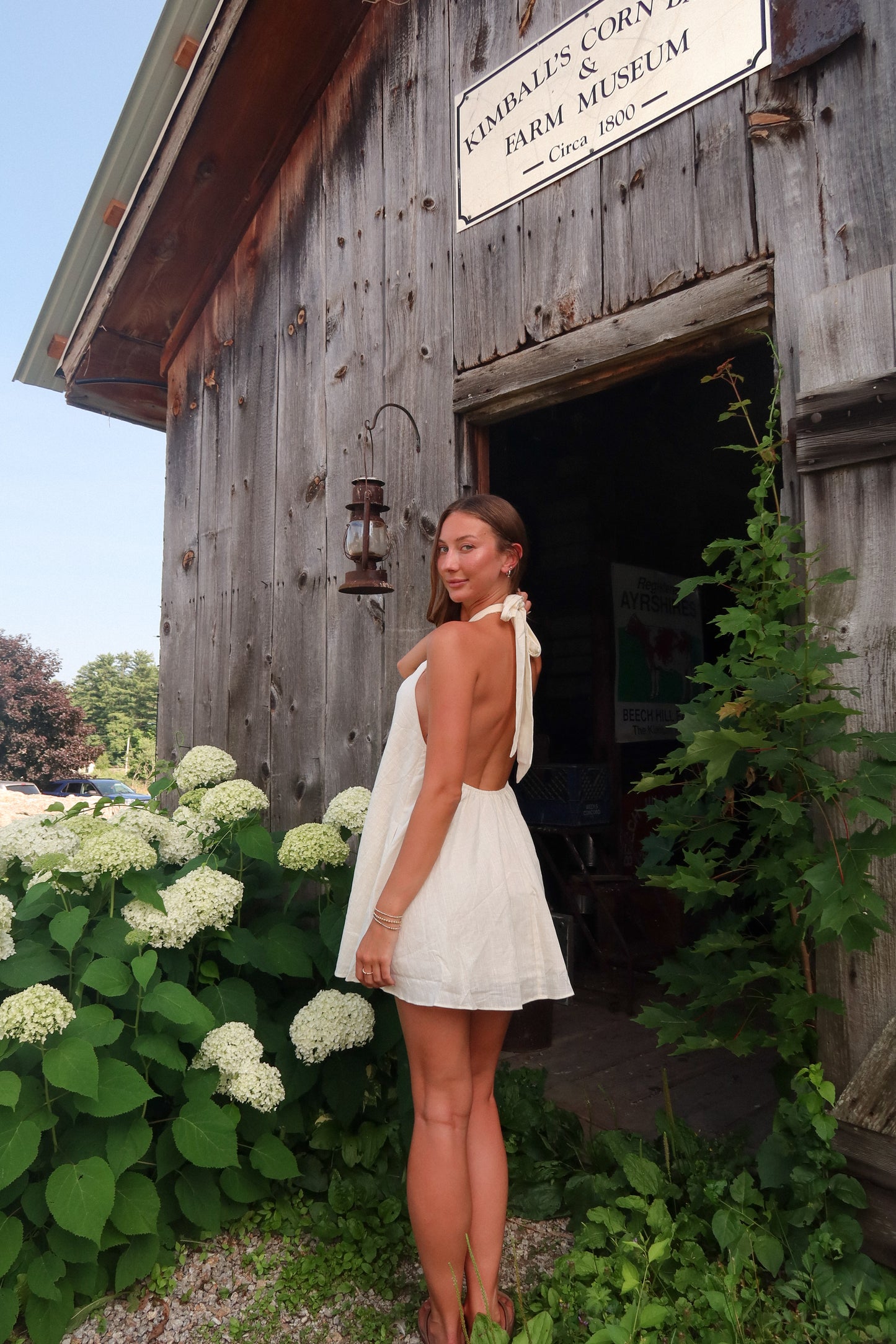 SOPHIE LINEN MINI
