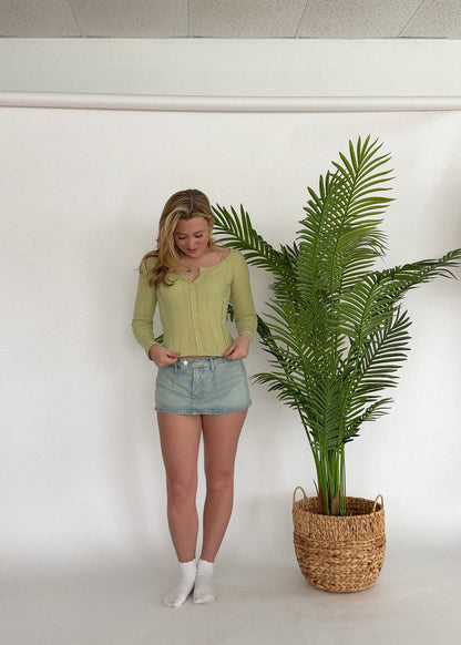 Lily Pointelle Top